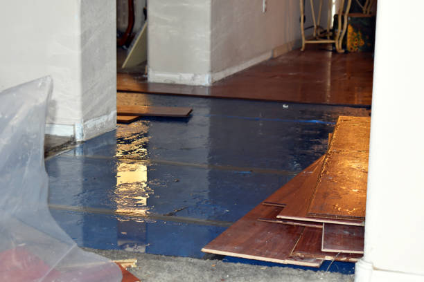 Professional Sewage Cleanup technician working in Park City, KS